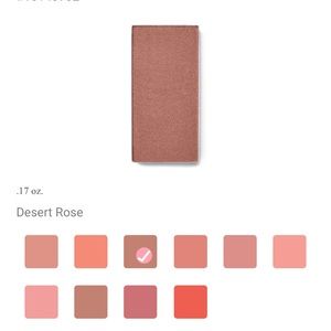 Mary Kay Chromafusion blush Desert Rose New in package!